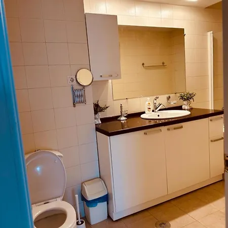 Unirii Center Apartment *